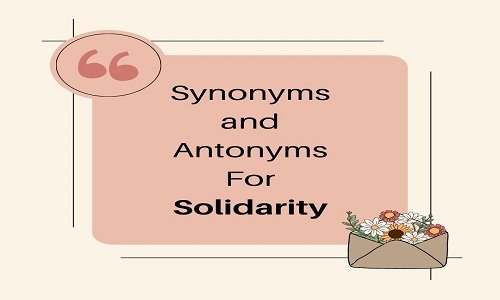 Synonyms and Antonyms For Solidarity