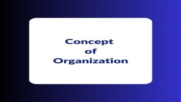 Concept of Organization