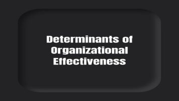Determinants of Organizational Effectiveness