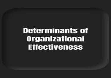 Determinants of Organizational Effectiveness