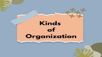 Kinds of Organization