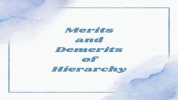 Merits and Demerits of Hierarchy