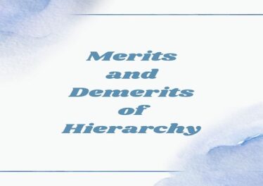 Merits and Demerits of Hierarchy