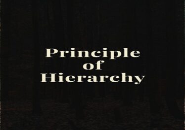 Principle of Hierarchy