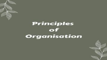 Principles of Organisation