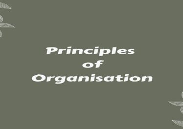 Principles of Organisation