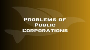 Problems of Public Corporations