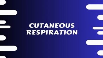 Cutaneous Respiration