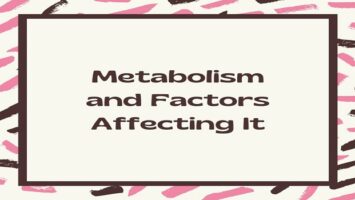 Metabolism and Factors Affecting It