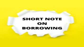 Short Note on Borrowing