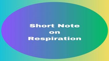 Short Note on Respiration