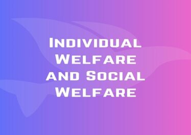 Individual Welfare and Social Welfare