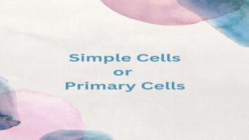Simple Cells or Primary Cells