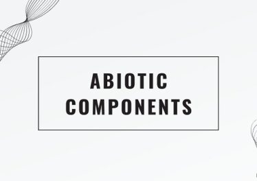 Abiotic Components