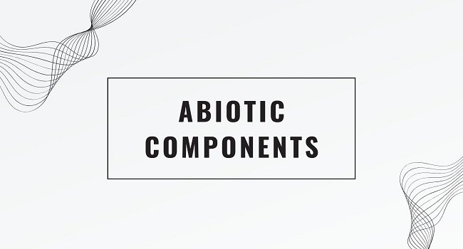 Abiotic Components