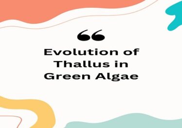 Evolution of Thallus in Green Algae