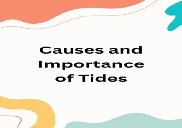 Causes and Importance of Tides