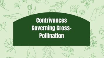 Contrivances Governing Cross-Pollination