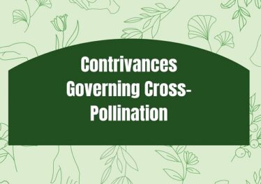 Contrivances Governing Cross-Pollination
