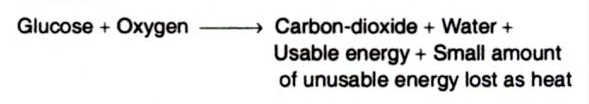 Entropy and Enthalpy in Living Systems 4 Enthalpy in Living Systems