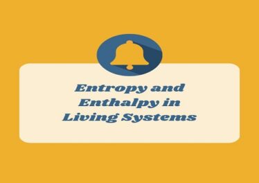Entropy and Enthalpy in Living Systems