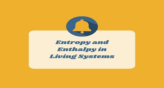 Entropy and Enthalpy in Living Systems