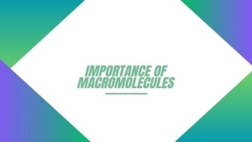 Importance of Macromolecules