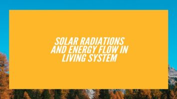 Solar Radiations and Energy Flow in Living System