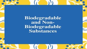 Biodegradable and Non-Biodegradable Substances