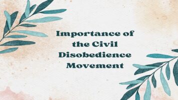 Importance of the Civil Disobedience Movement