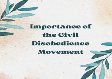 Importance of the Civil Disobedience Movement