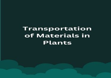 Transportation of Materials in Plants