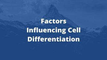 Factors Influencing Cell Differentiation