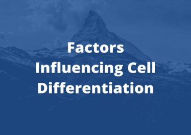 Factors Influencing Cell Differentiation