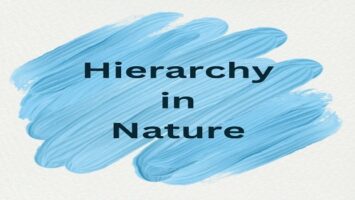 Hierarchy in Nature