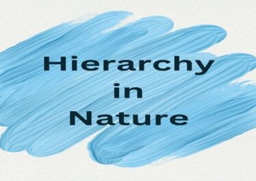 Hierarchy in Nature