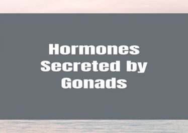 Hormones Secreted by Gonads