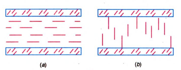 nematic liquid between two plate electrodes