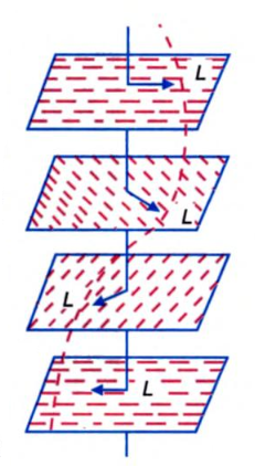 structure of a cholesteric liquid crystal